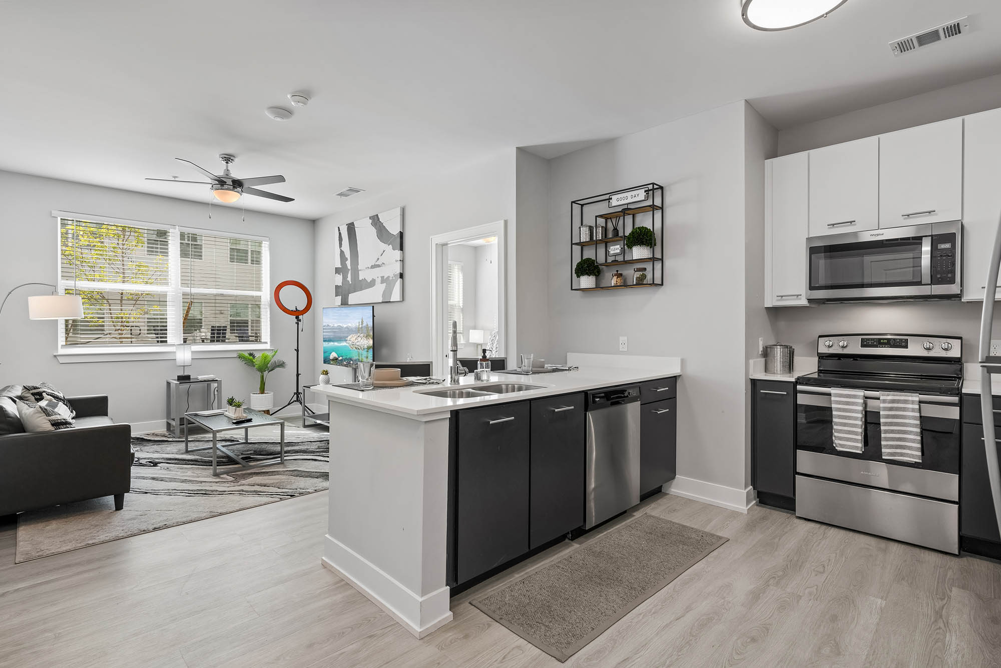 Modern kitchen and living area with sleek decor and natural light