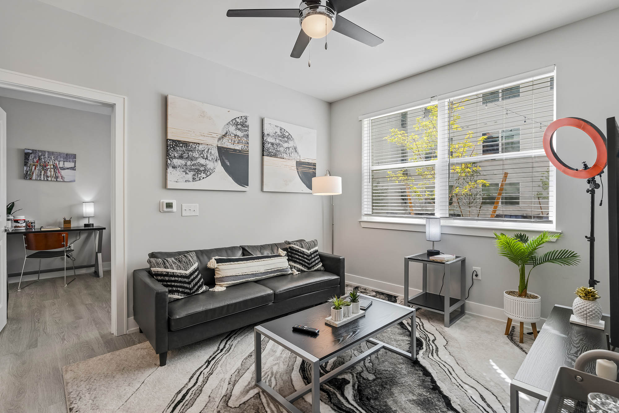 Modern living room with a couch artwork and natural light