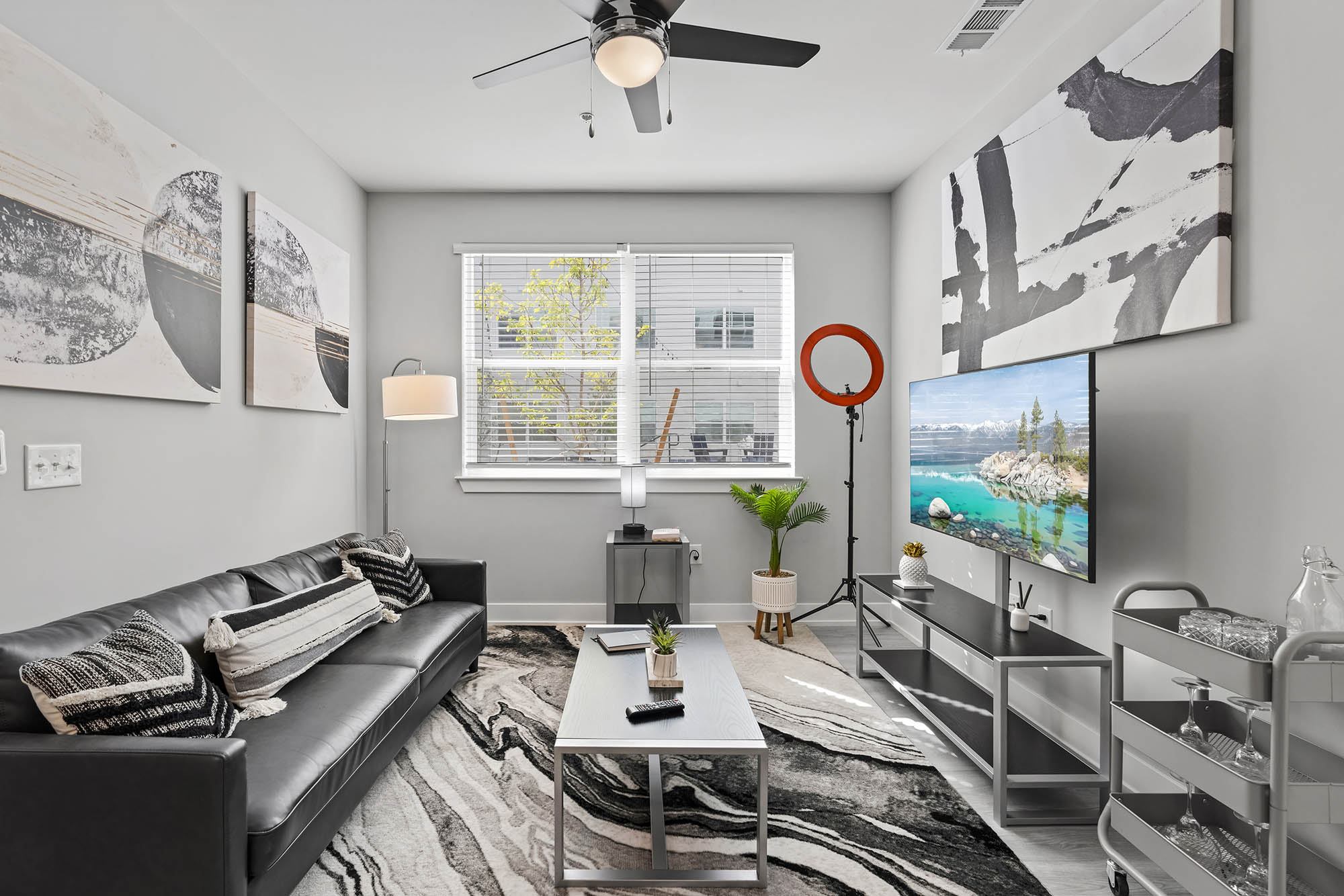 Modern living room with couch TV and artwork on walls